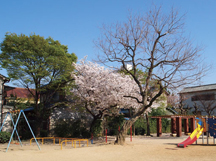 加美正覚寺公園